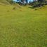  Land for sale in Yaonahuac, Puebla, Yaonahuac