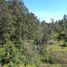 Terreno (Parcela) en venta en Yaonahuac, Puebla, Yaonahuac