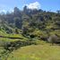  Terreno (Parcela) en venta en Yaonahuac, Puebla, Yaonahuac