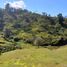  Terreno (Parcela) en venta en Yaonahuac, Puebla, Yaonahuac