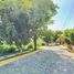  Land for sale in Temixco, Morelos, Temixco