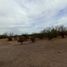 Terrain à vendre à Hermosillo, Sonora, Hermosillo, Sonora