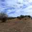 Terrain à vendre à Hermosillo, Sonora, Hermosillo, Sonora