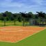  Land for sale in Dzidzantun, Yucatan, Dzidzantun