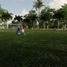  Land for sale in Dzidzantun, Yucatan, Dzidzantun