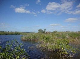  Grundstück zu verkaufen in Othon P Blanco, Quintana Roo, Othon P Blanco