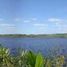  Terrain for sale in Othon P Blanco, Quintana Roo, Othon P Blanco