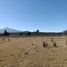  Land for sale in Tzompantepec, Tlaxcala, Tzompantepec