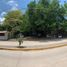  Grundstück zu verkaufen in Ebano, San Luis Potosi, Ebano