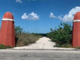 Grundstück zu verkaufen in Yaxkukul, Yucatan, Yaxkukul