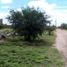  Land for sale in Jesus Maria, Aguascalientes, Jesus Maria