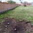  Land for sale in Jesus Maria, Aguascalientes, Jesus Maria