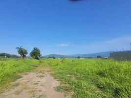  토지을(를) Tepoztlan, 모렐 로스에서 판매합니다., Tepoztlan