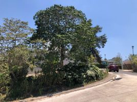 在Coatepec, Veracruz出售的 土地, Coatepec