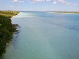  Grundstück zu verkaufen in Othon P Blanco, Quintana Roo, Othon P Blanco