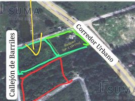  Terreno (Parcela) en venta en Altamira, Tamaulipas, Altamira, Tamaulipas