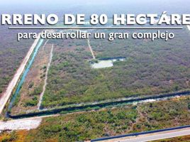  Terreno (Parcela) en venta en Chicxulub Pueblo, Yucatán, Chicxulub Pueblo