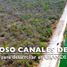  Terreno (Parcela) en venta en Chicxulub Pueblo, Yucatán, Chicxulub Pueblo
