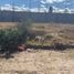  Land for sale in Amozoc, Puebla, Amozoc