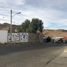  Land for sale in Matamoros, Chihuahua, Matamoros