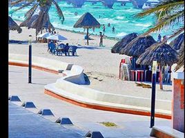Terrain à vendre à Chicxulub Pueblo, Yucatan, Chicxulub Pueblo