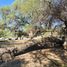  Land for sale in San Luis Potosi, San Luis Potosi, San Luis Potosi, San Luis Potosi