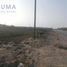  Grundstück zu verkaufen in Altamira, Tamaulipas, Altamira