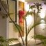 1 Schlafzimmer Appartement zu verkaufen in Merida, Yucatan, Merida, Yucatan