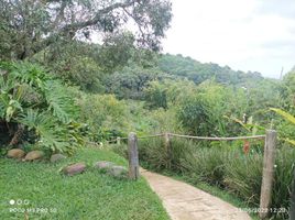 2 Habitación Apartamento en alquiler en Ulloa, Valle Del Cauca, Ulloa