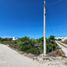  토지을(를) Chicxulub Pueblo, 유카탄에서 판매합니다., Chicxulub Pueblo