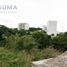 Terrain à vendre à Altamira, Tamaulipas, Altamira
