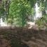 9 Bedroom House for sale in Merida, Yucatan, Merida, Yucatan