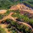  Land for sale in Dist Pochutla, Oaxaca, Dist Pochutla