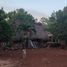  Terreno (Parcela) en venta en Chemax, Yucatán, Chemax