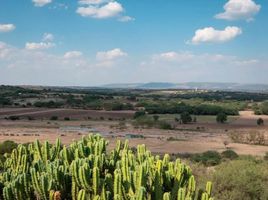  Grundstück zu verkaufen in Allende, Guanajuato, Allende