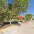  Land for sale in San Luis Potosi, San Luis Potosi, San Luis Potosi, San Luis Potosi