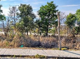 在Morelia, Michoacan出售的 土地, Morelia