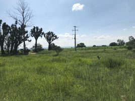  Grundstück zu verkaufen in Aguascalientes, Aguascalientes, Aguascalientes, Aguascalientes