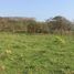  Terreno (Parcela) en venta en Altotonga, Veracruz, Altotonga