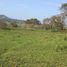 Terreno (Parcela) en venta en Altotonga, Veracruz, Altotonga