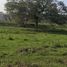 Land for sale in Altotonga, Veracruz, Altotonga