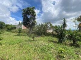 在Coatepec, Veracruz出售的 土地, Coatepec