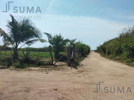  Grundstück zu verkaufen in Pueblo Viejo, Veracruz, Pueblo Viejo