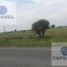  Land for sale in San Marcos, Guerrero, San Marcos