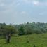  Land for sale in Ixhuacan De Los Reyes, Veracruz, Ixhuacan De Los Reyes