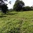  Land for sale in Ixhuacan De Los Reyes, Veracruz, Ixhuacan De Los Reyes