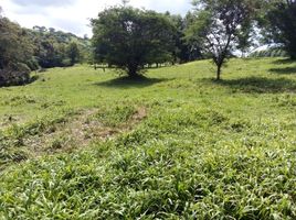  Land for sale in Ixhuacan De Los Reyes, Veracruz, Ixhuacan De Los Reyes