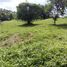  Land for sale in Ixhuacan De Los Reyes, Veracruz, Ixhuacan De Los Reyes
