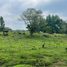  Land for sale in Ixhuacan De Los Reyes, Veracruz, Ixhuacan De Los Reyes