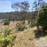  Land for sale in Jilotzingo, Mexico, Jilotzingo
